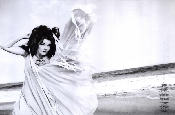 Bjork pic #323927
