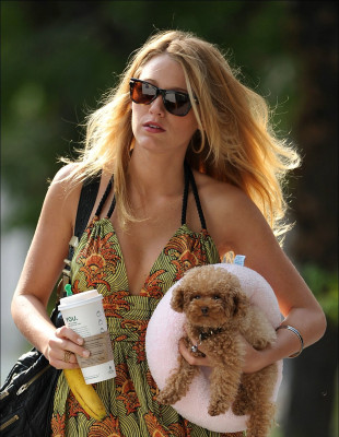 Blake Lively pic #356530