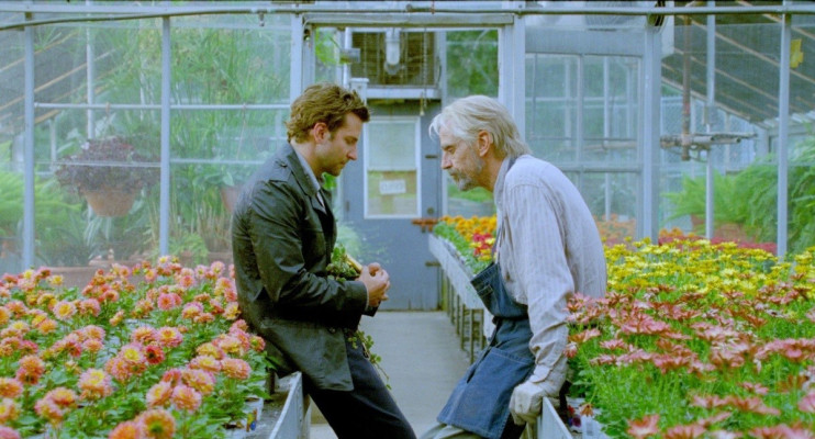 photo 29 in Bradley Cooper gallery [id481697] 2012-03-17 00:00:00