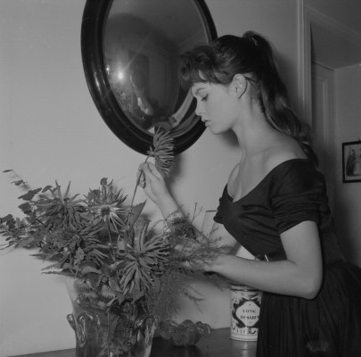 Brigitte Bardot pic #289804