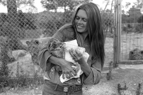 Brigitte Bardot pic #136639