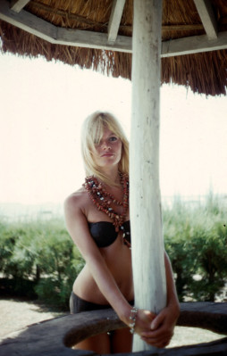 Brigitte Bardot pic #281405