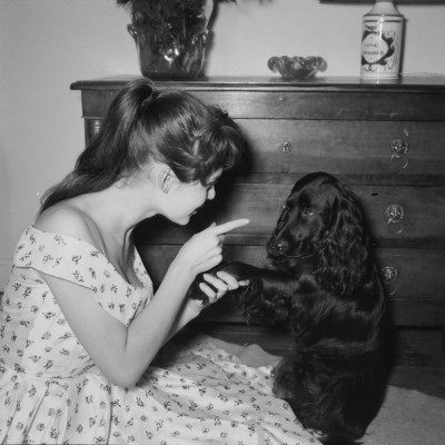 Brigitte Bardot pic #289799