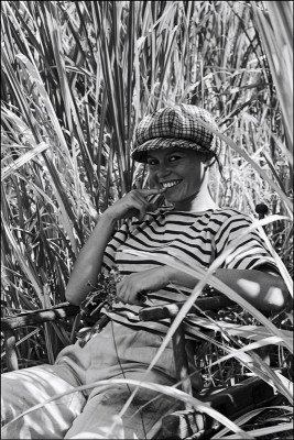 Brigitte Bardot pic #236345