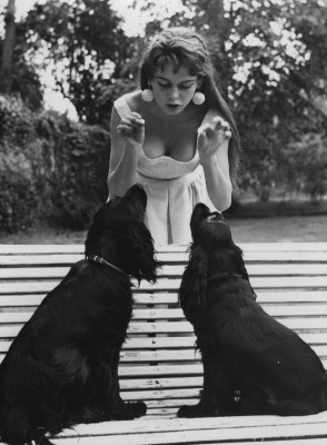 photo 20 in Brigitte Bardot gallery [id377244] 2011-03-28 00:00:00