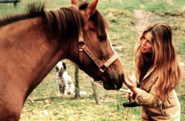 Brigitte Bardot pic #247739