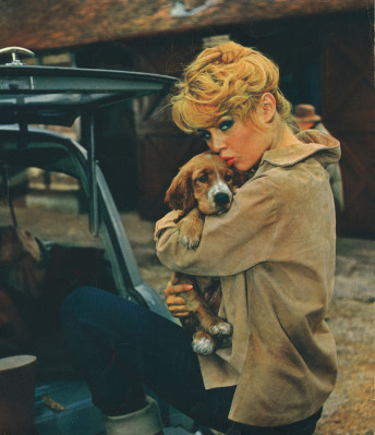 Brigitte Bardot pic #247741