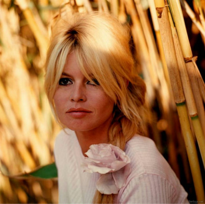Brigitte Bardot pic #503233