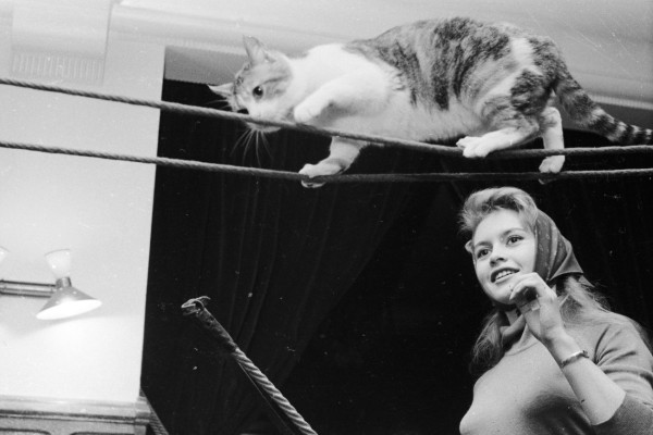 Brigitte Bardot pic #487266