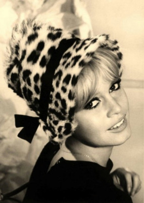 photo 16 in Brigitte Bardot gallery [id389629] 2011-04-28 00:00:00