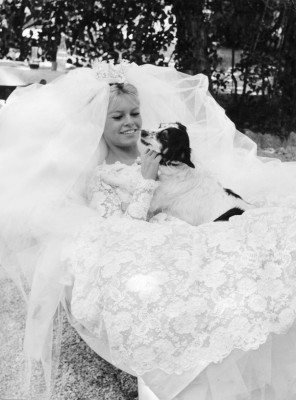 photo 5 in Brigitte Bardot gallery [id147745] 2009-04-08 00:00:00