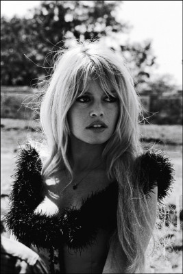 Brigitte Bardot pic #236347