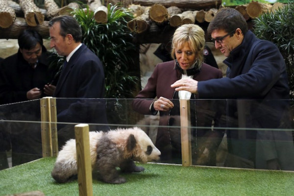 Brigitte Macron pic #1023154