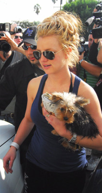 Britney Spears pic #510880