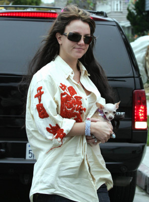 photo 21 in Britney Spears gallery [id529538] 2012-07-02 00:00:00