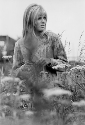 Britt Ekland pic #428107
