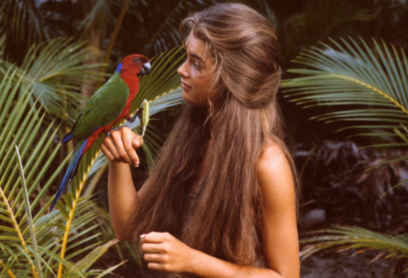 Brooke Shields