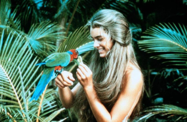 Brooke Shields