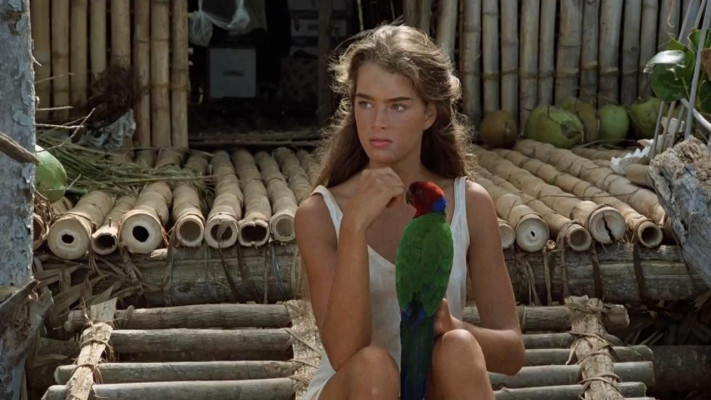Brooke Shields