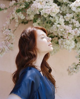 Bryce Dallas Howard pic #982203