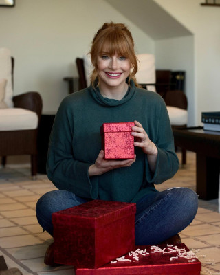 Bryce Dallas Howard pic #1024887