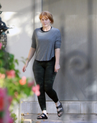 Bryce Dallas Howard pic #980907