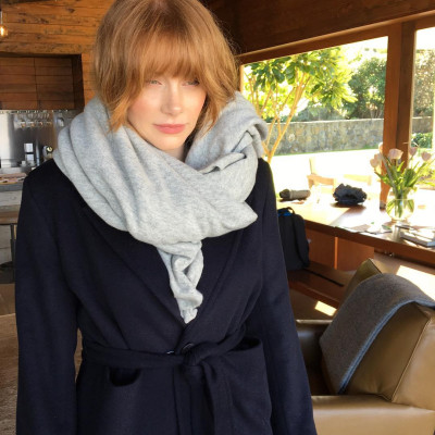 Bryce Dallas Howard pic #958290