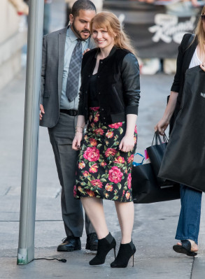Bryce Dallas Howard pic #1019031