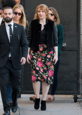 Bryce Dallas Howard pic #1019034