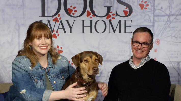 Bryce Dallas Howard pic #1134320