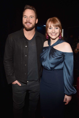 Bryce Dallas Howard pic #1065249