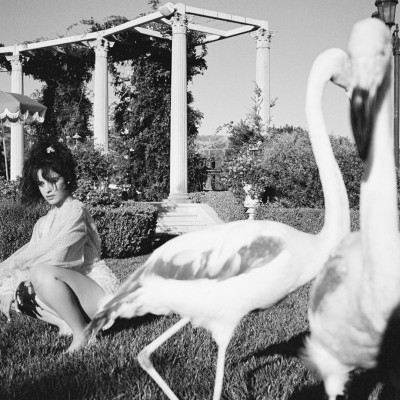 Camila Cabello - Music Video &#039;Liar&#039; (2019)