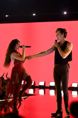 Camila Cabello - American Music Awards in Los Angeles 11/24/2019