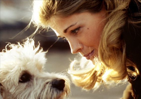 photo 22 in Bergen gallery [id407746] 2011-07-14 00:00:00