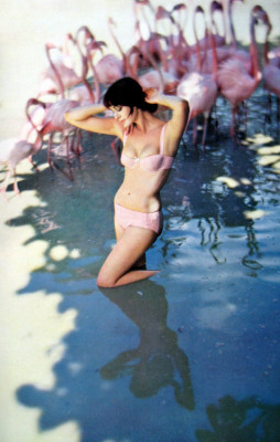 photo 4 in Carmen Dell'Orefice gallery [id456822] 2012-02-02 00:00:00