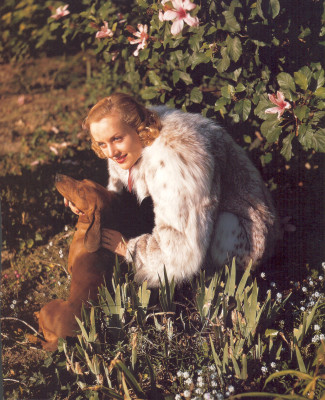 photo 13 in Carole Lombard gallery [id392429] 2011-05-10 00:00:00