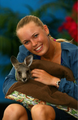 Caroline Wozniacki pic #487453