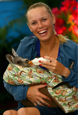 Caroline Wozniacki pic #487454