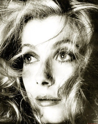 Catherine Deneuve pic #71694