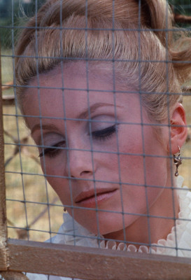 Catherine Deneuve pic #268540