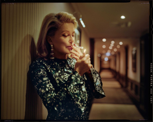 photo 6 in Catherine Deneuve gallery [id740629] 2014-06-18 00:00:00