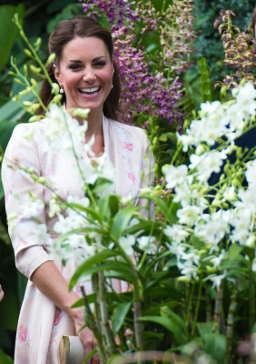 photo 23 in Catherine, Duchess of Cambridge gallery [id558279] 2012-09-12 00:00:00