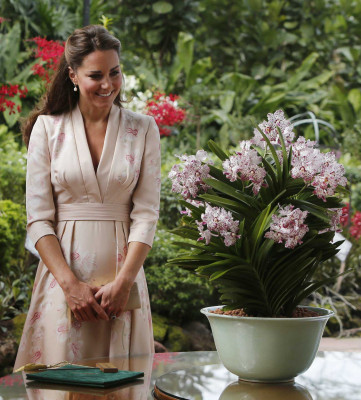 Catherine, Duchess of Cambridge pic #558270