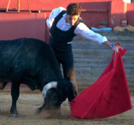 Cayetano Rivera pic #564044
