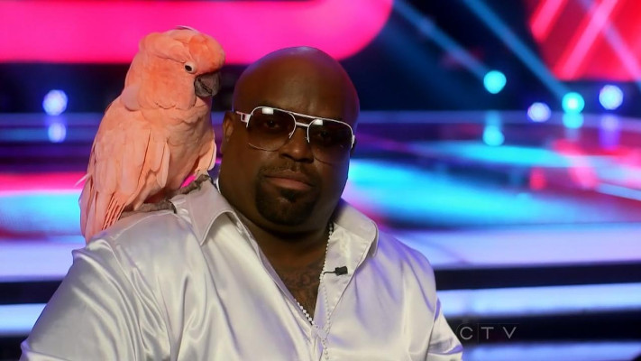 Cee Lo Green pic #558906
