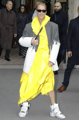 photo 23 in Celine Dion gallery [id1138479] 2019-02-05 00:00:00