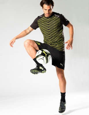photo 10 in Cesc Fabregas gallery [id477105] 2012-03-09 00:00:00