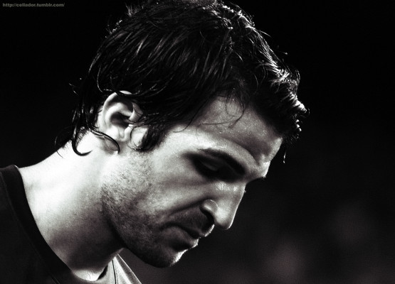photo 12 in Cesc Fabregas gallery [id516302] 2012-05-27 00:00:00