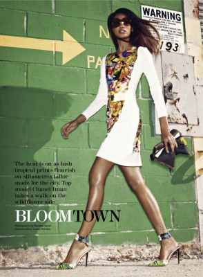 Chanel Iman pic #477670