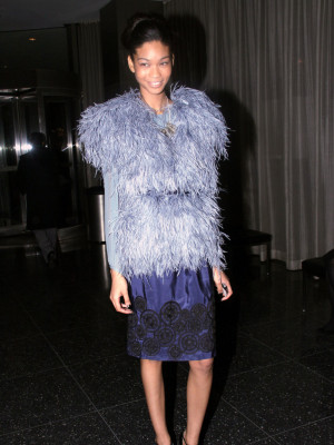 Chanel Iman pic #358657